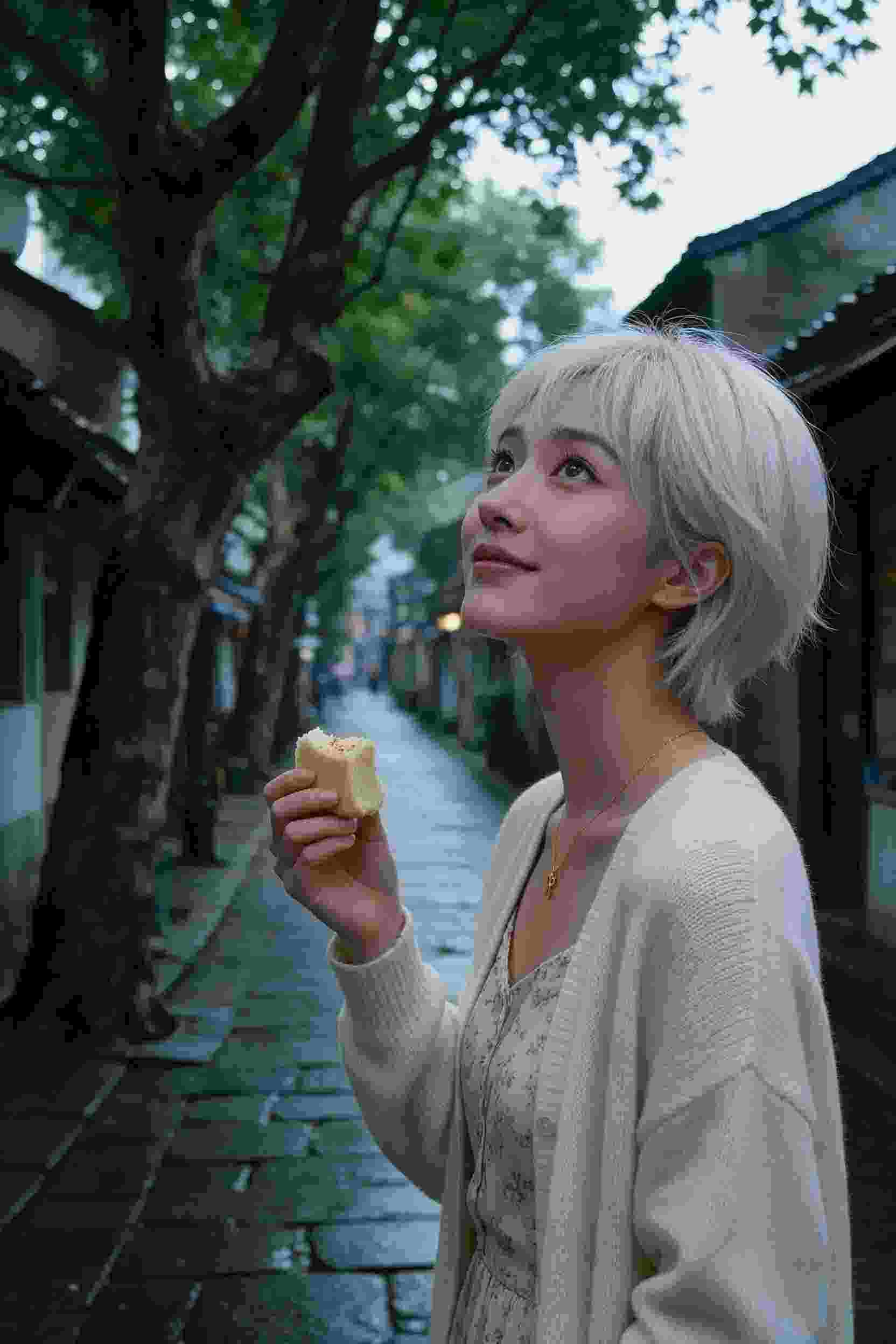 梦幻城邦